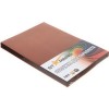 Обложки для переплета пластиковые StarBind А4, коричневые прозрачные, 200 мкм, 100 шт./уп
